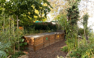 compost pariz.jpg